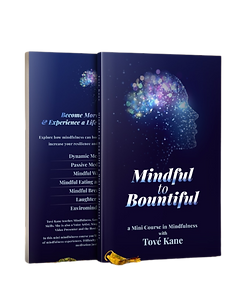 Mindful to Bountiful Book Cover