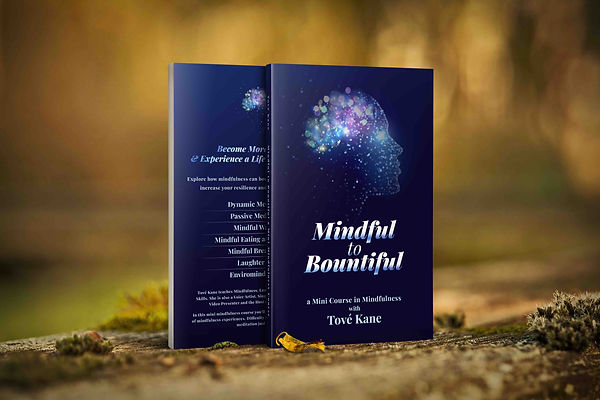 Mindful to Bountiful Ebook Cover in situ - 2.jpg