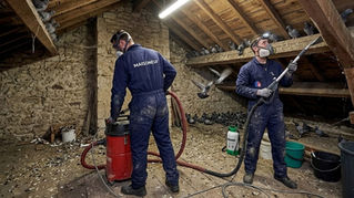 Deux techniciens Maisoneuf nettoyant des combles fortement contaminés par des fientes de pigeon