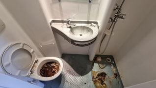 WC très sale et bouché dans un logement insalubre avant intervention