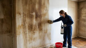Nettoyage logement insalubre par employe maisoneuf