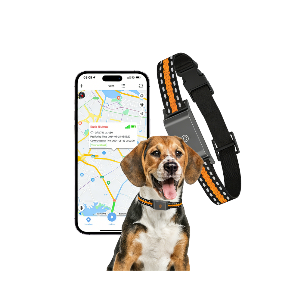 4G Pet GPS Tracker - O1