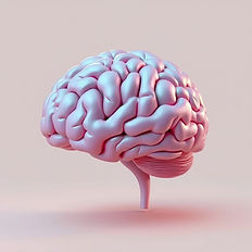 Brain