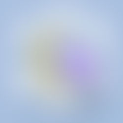 Benefits of Prior Authorization Automation