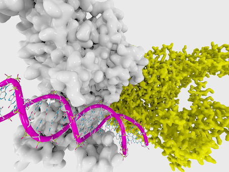 Cambia i tuoi pensieri e cambi il tuo destino