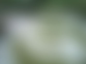 5 Λόγοι για να Δοκιμάσεις Go Kart στο Meteora Race Park