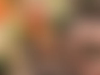 Put it in the ground