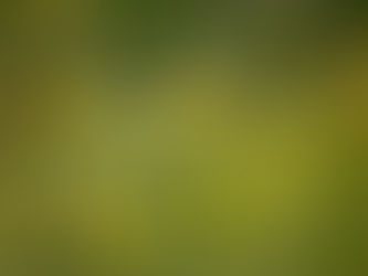 What your weeds are telling you