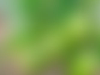 Planning for the summer harvest