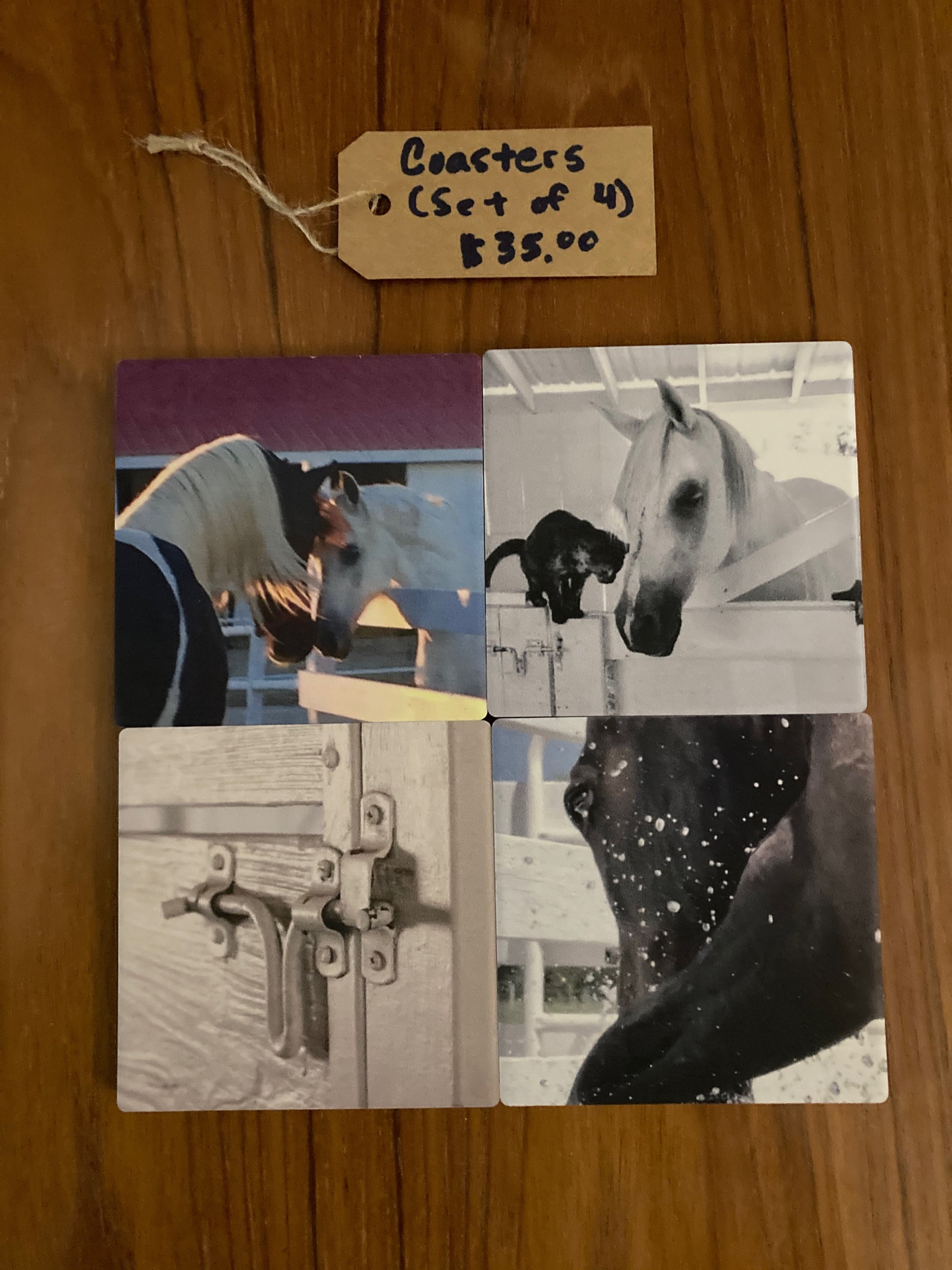 Equine Stone Coasters