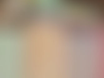 L'ARMYthèque vous accueille dans sa demeure