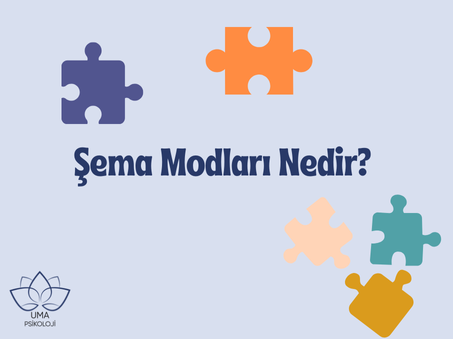 Şema Modları Nedir? Kapsamlı Bir Rehber
