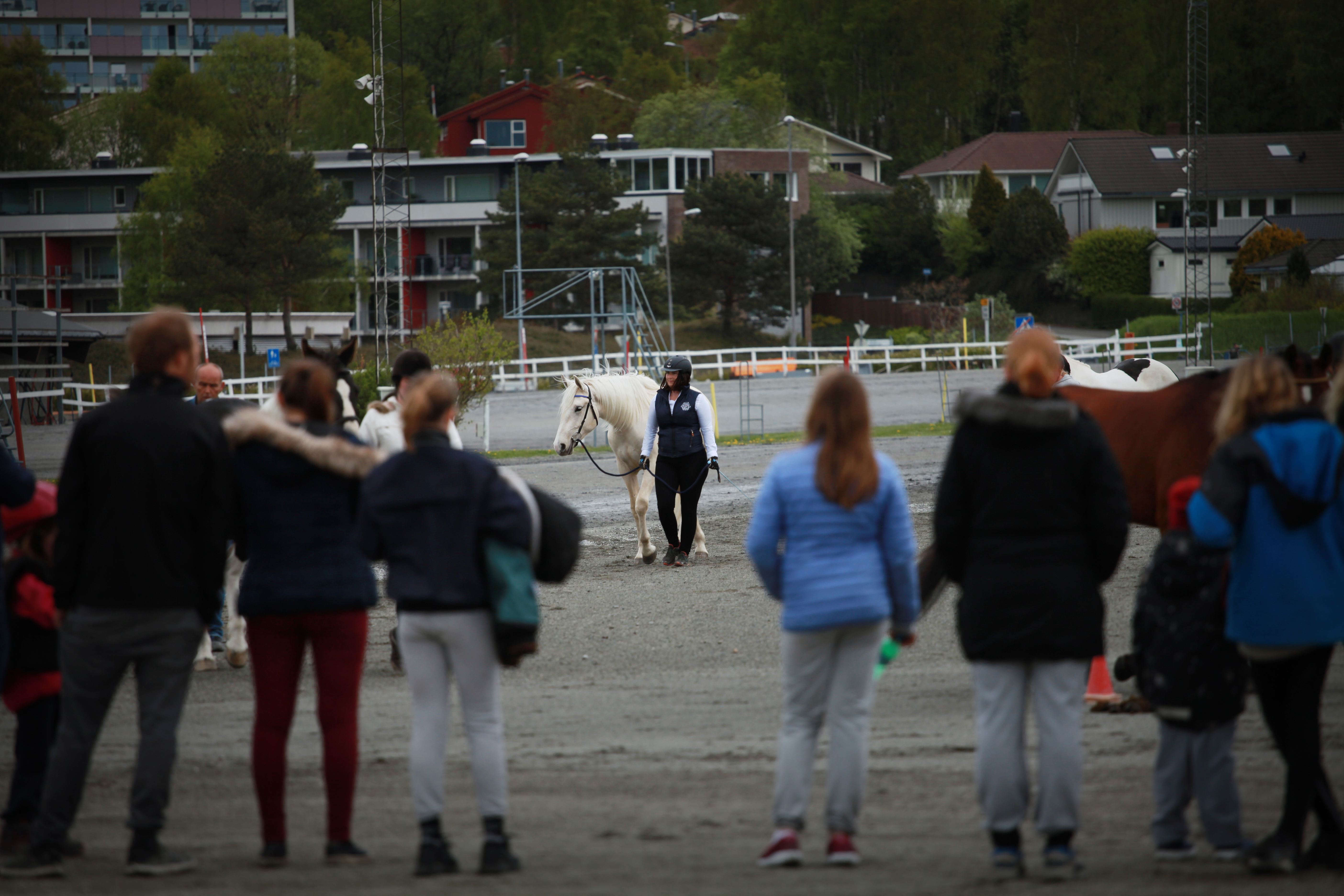 Publikum og masse nytt