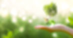 shutterstock_1500154991.jpg