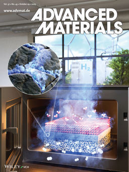 D. Kim#, Y. Kang#, H. Kim, S. Oh, S. Jang, M. Lee, Z. F. Lee, G.-D. Sim, K. T. Lee*