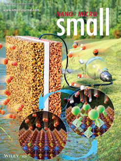 H. Jeon#, Y. H. Kim#, H. Kim#, B.-R. Won, W. Jang, C.-H. Park, K. T. Lee*, J.-H. Myung*