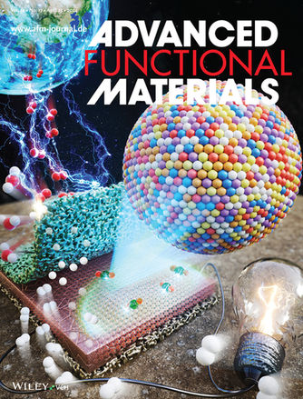 Advanced Functional Materials 지 Back Cover 선정