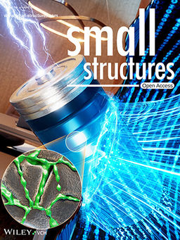 S. Jang#, Y. Kang#, H. Kim, J. Park*, K. T. Lee*