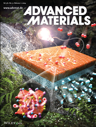Advanced Materials 지 Inside Back Cover 선정