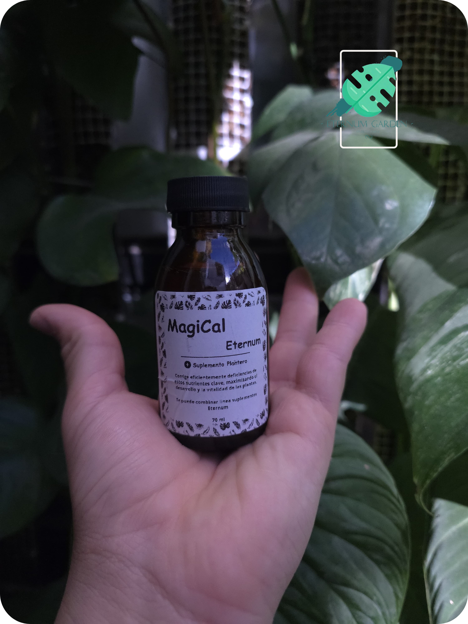 MagiCal Pro Eternum70ml