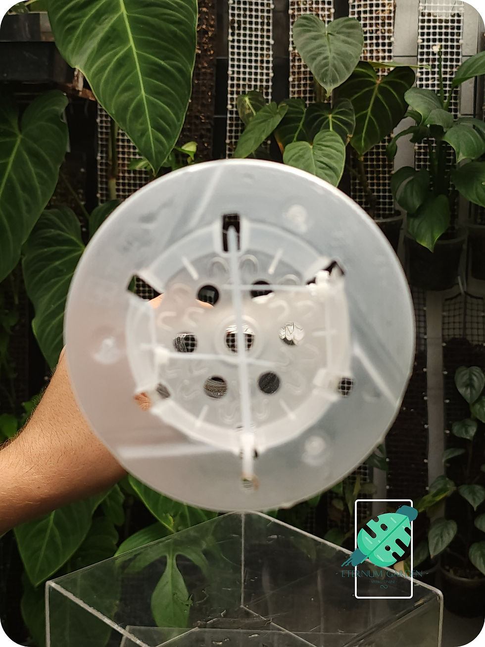 Miniatura: Tutor para plantas / ClimberPole Mediano
