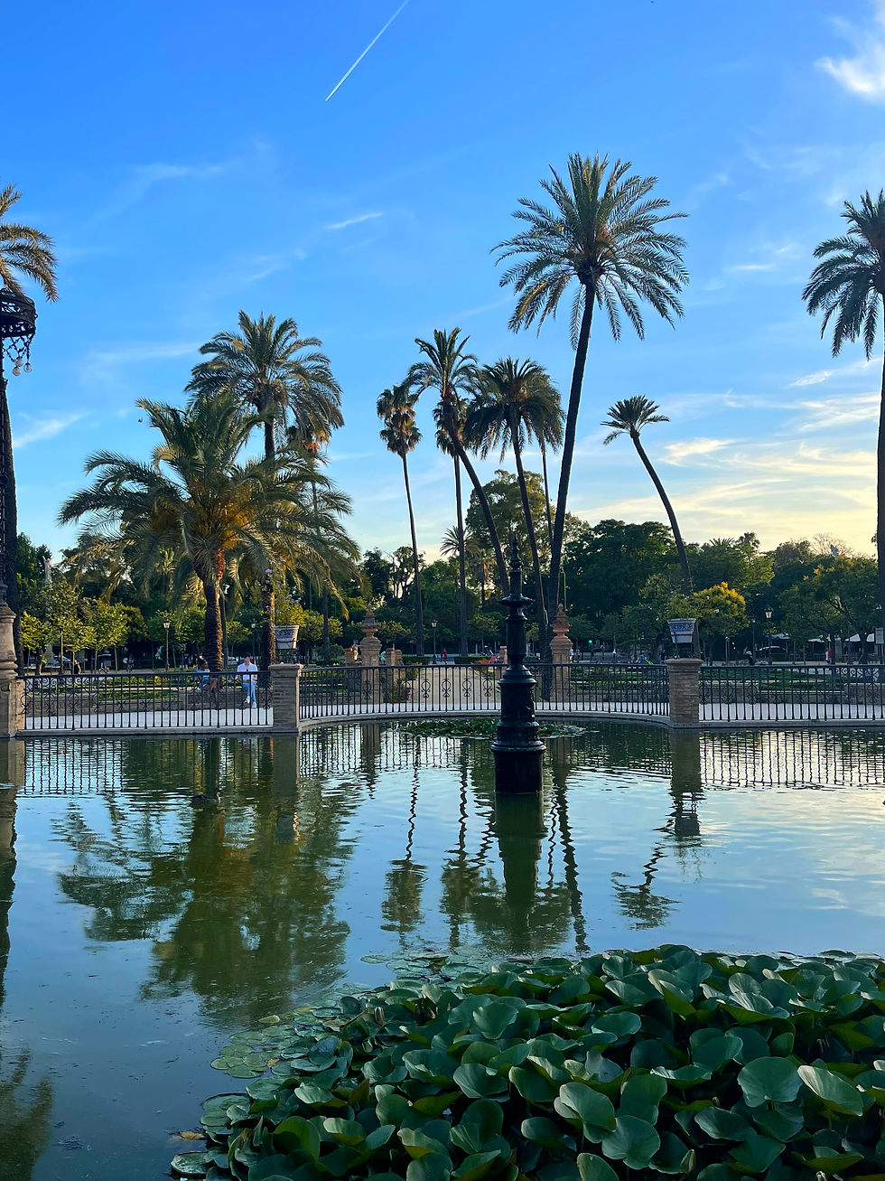 A Memorable Trip to Seville