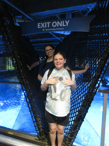 IMG_3764.JPG