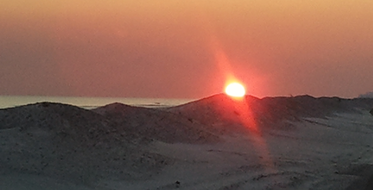 cropped sunrise.png