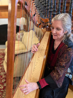 Ouray Colorado winter wine festival