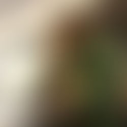 With deep roots in D.C., Danzell Bussey brings zeal for digital media and mentoring to YMG Board