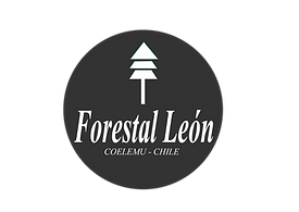 20 - FORESTAL LEÓN - LISTO.png