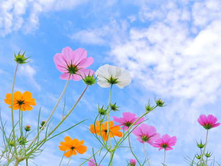 静かに変わる、いつもの景色