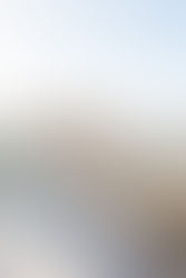 The Day Hailey Lost Her Cool