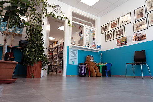 sala d'aspetto veterinario.jpg