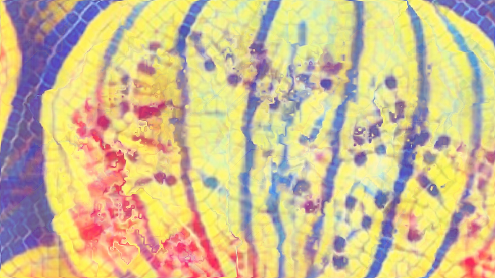 Spring Festival memories