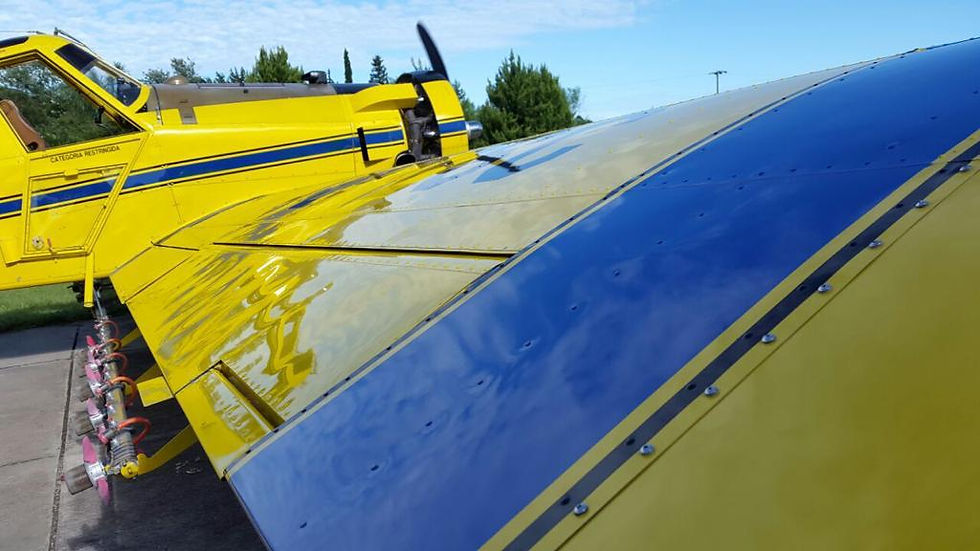 PHOTO-2022-02-02-14-02-16 (3).jpg