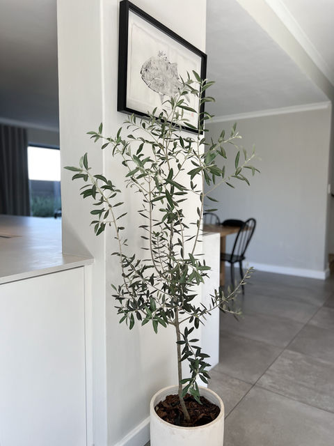 Kitchen Renovation Styling Interior Design Decor Design Cape Town Interior Designer