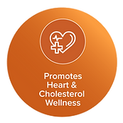 postbiotic-15.png