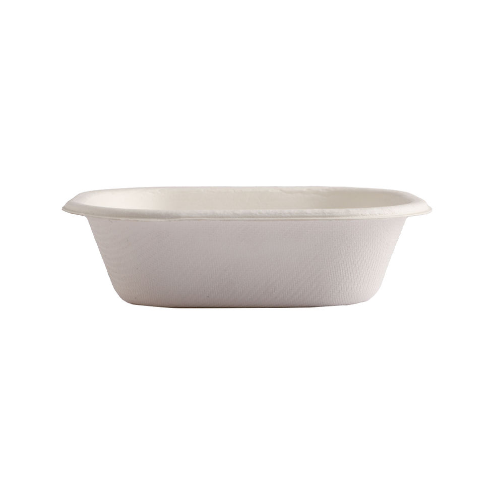 Eco Friendly Disposable Bowls