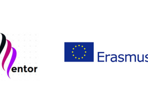 MENTOR: CAREER-MENTORING FOR TRANSITION SUCCESS TO WORK LIFE