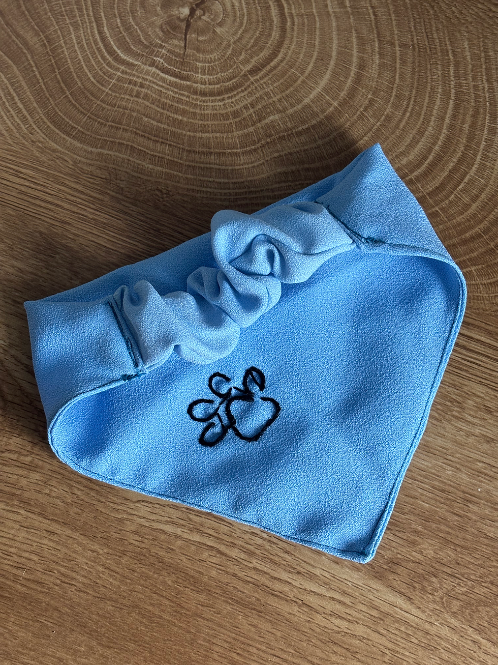 Miniatiūra: BANDANA/SKARELĖ AUGINTINIAMS