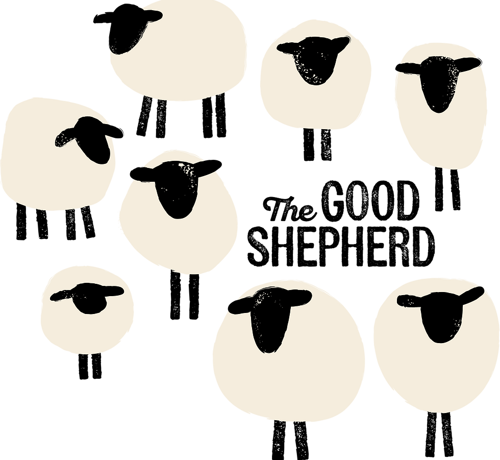 Fluffy sheep flock, peaceful scene