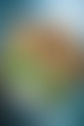 Join us on a 7-course CULINARY JOURNEY