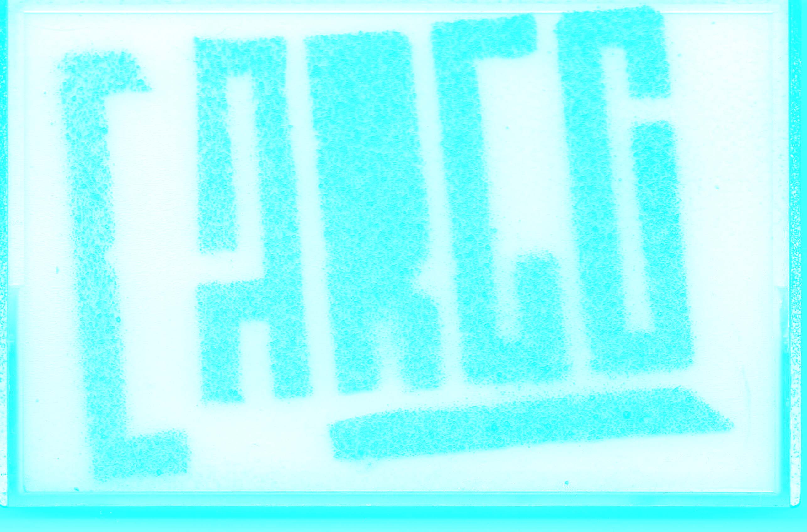 Logo Cargo