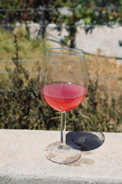 Grenache Gris 2020