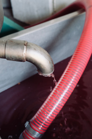 Grenache Gris 2020