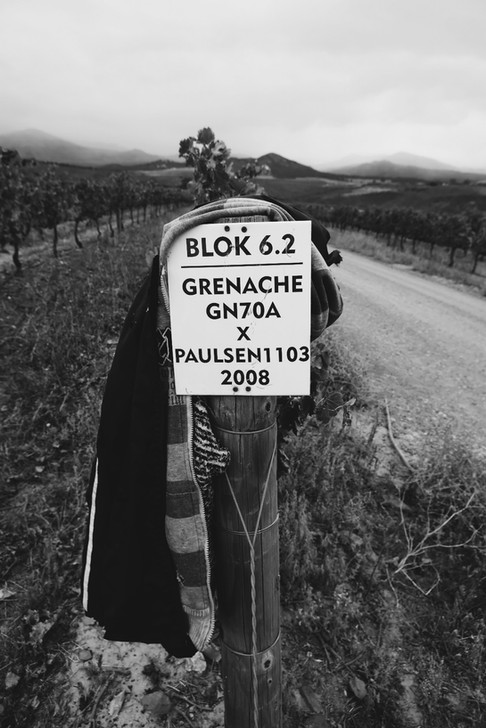 Grenache Noir Blok 6.2