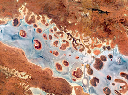 Organic Topography