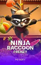 PGS_Ninja Raccoon Frenzy