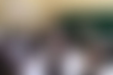 Baskaran Athimuthulingam- a UN worker ordered out in 2008